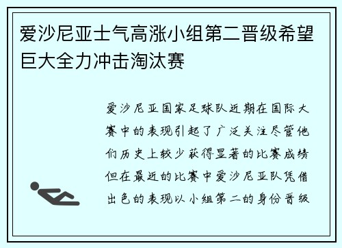 爱沙尼亚士气高涨小组第二晋级希望巨大全力冲击淘汰赛